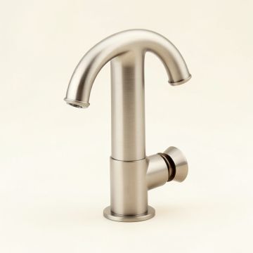 Mylan Single Hole Bathroom Faucet With Drain Assembly And Spot Shield Technology (synthetic illustration; no displayed measurements)