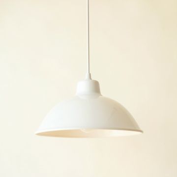 Ash Arc Pendant Light Suspended From One Plain Cable (synthetic illustration; no displayed measurements)