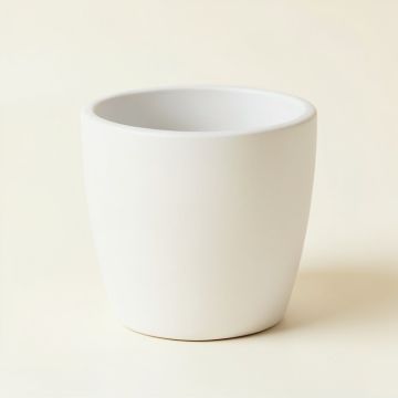 Timmer Resin Pot Planter (synthetic illustration; no displayed measurements)