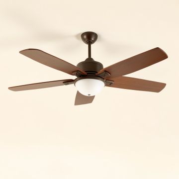 52 '' Loughman 5 - Blade Standard Ceiling Fan (synthetic illustration; no displayed measurements)