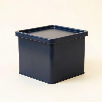Linden Branch Closed Outdoor Storage Box - Navy (synthetic illustration; no displayed measurements)