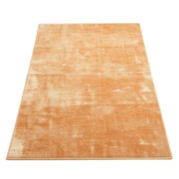 Hillsby Oriental Orange/Beige Area Rug