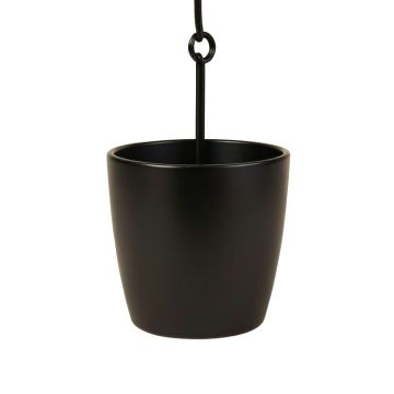 Rothstein Metal Hanging Planter