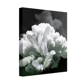 Plumes De Nuage ( Cloud Of Feathers ) Graphic Art On Wrapped Canvas