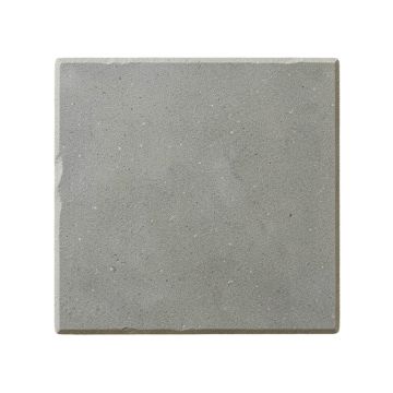 Pine Branch Uninstalled Square Decorative Tile - Gray