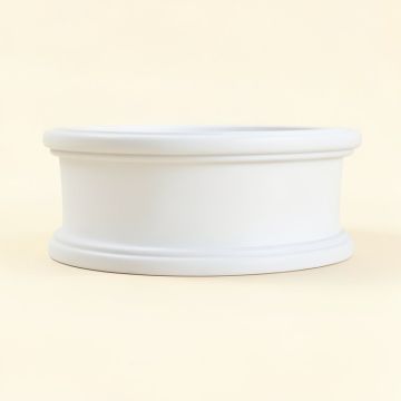 Springtime 11 3/8 '' H X 96 '' W X 8 1/8 '' D Crown Moulding (synthetic illustration; no displayed measurements)