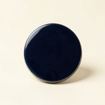 1 '' X 1 '' Porcelain Penny Round Mosaic Wall & Floor Tile (synthetic illustration; no displayed measurements)