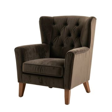 Anamaria 30.7 '' Wide Tufted Velvet Wingback Chair