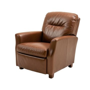 Desertderrin Electric Leather Recliner