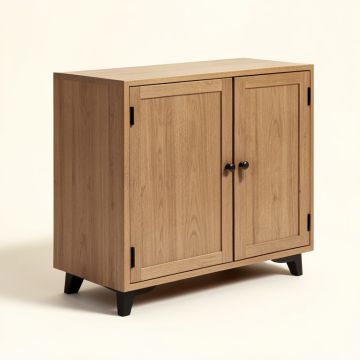 Gioia 2 Door Accent Cabinet (synthetic illustration; no displayed measurements)