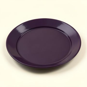 7 '' Melamine Appetizer Plate (synthetic illustration; no displayed measurements)