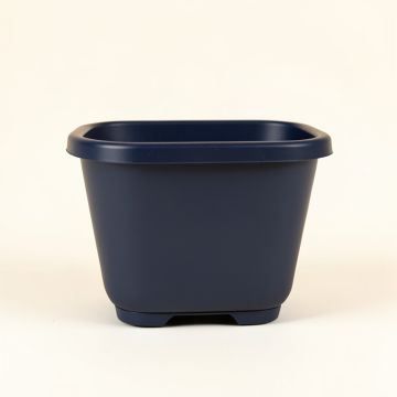 Juniper Arc Empty Raised Planter (synthetic illustration; no displayed measurements)