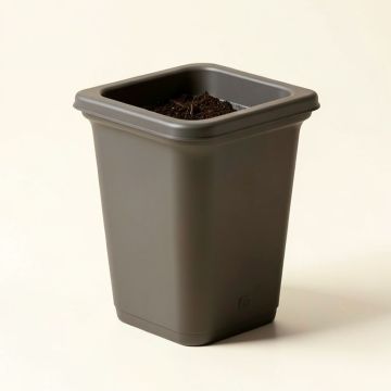 Demonte Self Watering Plastic Window Box Planter (synthetic illustration; no displayed measurements)