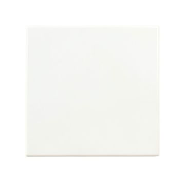 Alder Canyon Uninstalled Square Decorative Tile - White