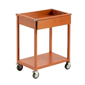 Sage Branch Empty Rolling Workshop Cart - Terracotta