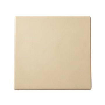 Holly Brook Uninstalled Square Decorative Tile - Beige