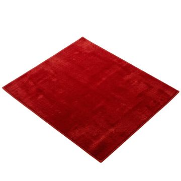 Molly Power Loom Red Rug