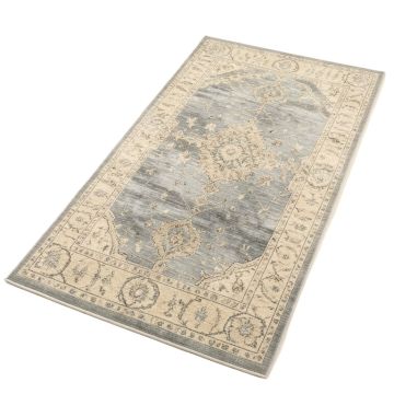 Hillsby Oriental Charcoal/Light Gray/Beige Area Rug