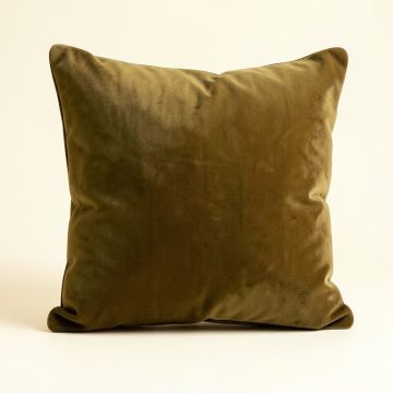 Erla Velvet Throw Pillow (synthetic illustration; no displayed measurements)