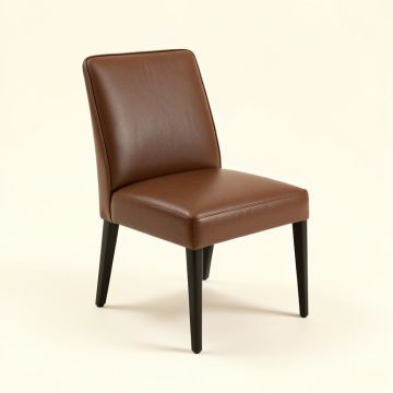 Naida Metal Side Chair (synthetic illustration; no displayed measurements)