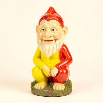 Gnome Garden Statue (synthetic illustration; no displayed measurements)