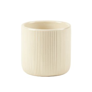 Holly Bluff Empty Candle Holder - Ivory