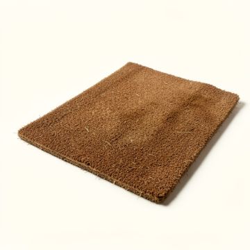 Peyton Welcome Outdoor Door Mat (synthetic illustration; no displayed measurements)