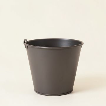 Basket 14 '' Metal Hanging Planter With Coco Liner (synthetic illustration; no displayed measurements)