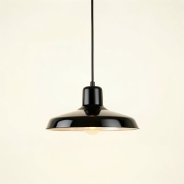 Lake Bend Pendant Light Suspended From One Plain Cable - Black (synthetic illustration; no displayed measurements)