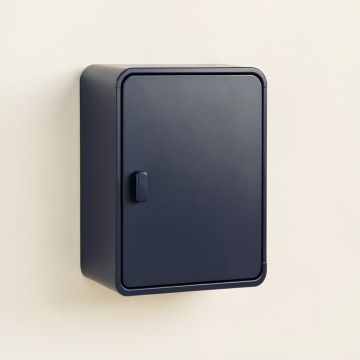 Birch Branch Wall-Mounted Laundry Cabinet - Navy (synthetic illustration; no displayed measurements)