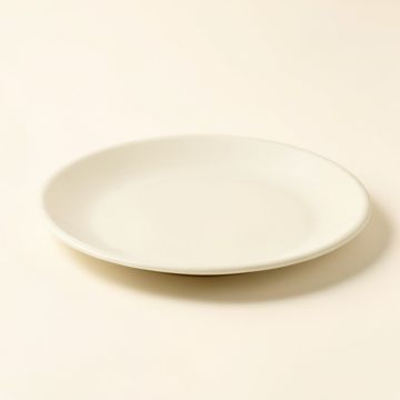 Bay Platter (synthetic illustration; no displayed measurements)