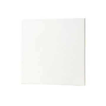 24 '' X 24 '' Porcelain Wall & Floor Tile