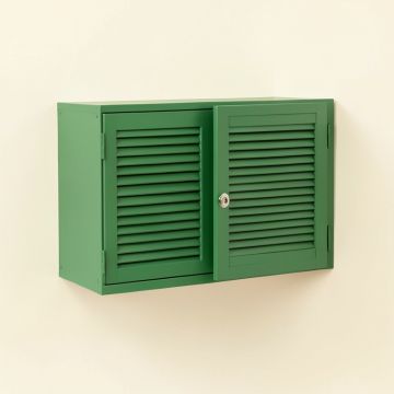 Hazel Crest Wall-Mounted Entry Cabinet - Green (synthetic illustration; no displayed measurements)