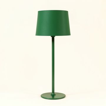 Alder Canyon Floor Lamp With A Plain Fabric Shade - Green (synthetic illustration; no displayed measurements)