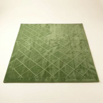 Briar Crossing Rectangular Area Rug - Green (synthetic illustration; no displayed measurements)