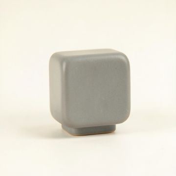 Fern Branch Cabinet Knob Without Packaging - Gray (synthetic illustration; no displayed measurements)