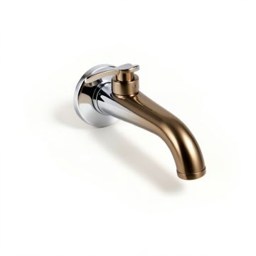 Trinsic Wall Mounted Bathroom Faucet (synthetic illustration; no displayed measurements)