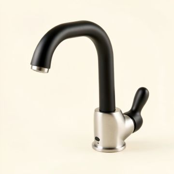 Oletto Pull Down Single Handle Kitchen Faucet (synthetic illustration; no displayed measurements)