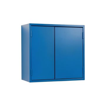 Rowan Brook Wall-Mounted Entry Cabinet - Blue