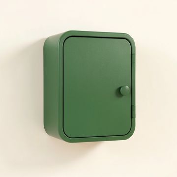 Vale Brook Wall-Mounted Laundry Cabinet - Green (synthetic illustration; no displayed measurements)
