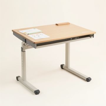 Holladay Desk (synthetic illustration; no displayed measurements)