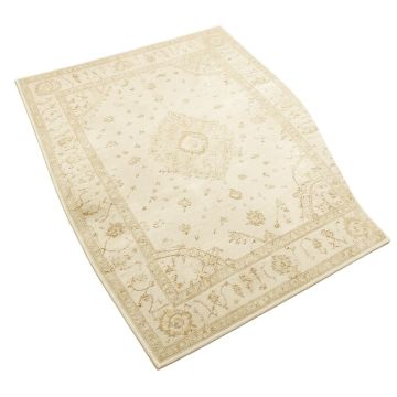 Cantey Oriental Ivory Area Rug