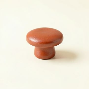 Meadow Crossing Cabinet Knob Without Packaging - Terracotta (synthetic illustration; no displayed measurements)
