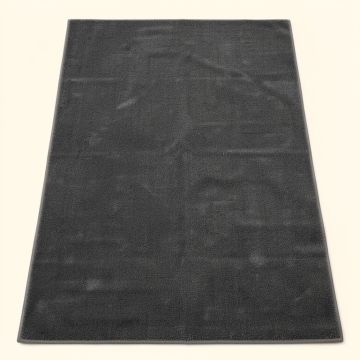 Brandt Oriental Dark Gray Area Rug (synthetic illustration; no displayed measurements)