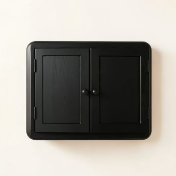 Slate Branch Wall-Mounted Entry Cabinet - Black (synthetic illustration; no displayed measurements)