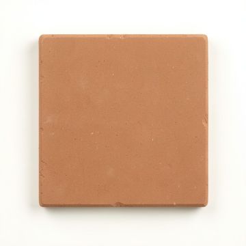 Fern Arc Uninstalled Square Decorative Tile (synthetic illustration; no displayed measurements)