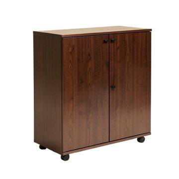Akinlolu Storage Cabinet