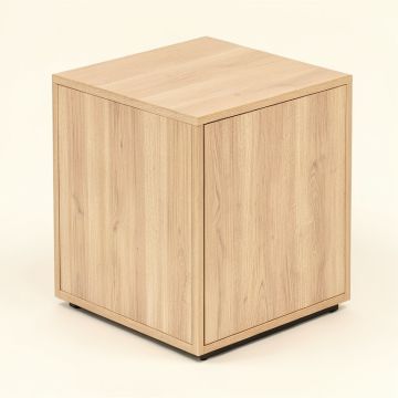 Marinus End Table With Storage (synthetic illustration; no displayed measurements)