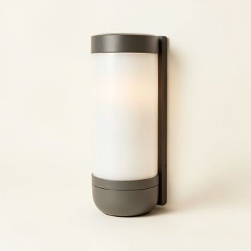 Cerridale Outdoor Armed Sconce (synthetic illustration; no displayed measurements)