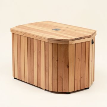 Medical 4 Full Spectrum 2 Person Far Infrared Sauna (synthetic illustration; no displayed measurements)